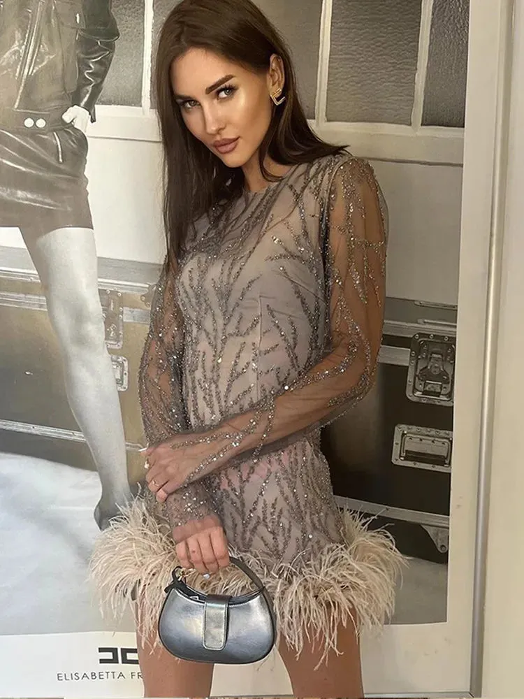 Feather Sequins Mini Sheer Dress